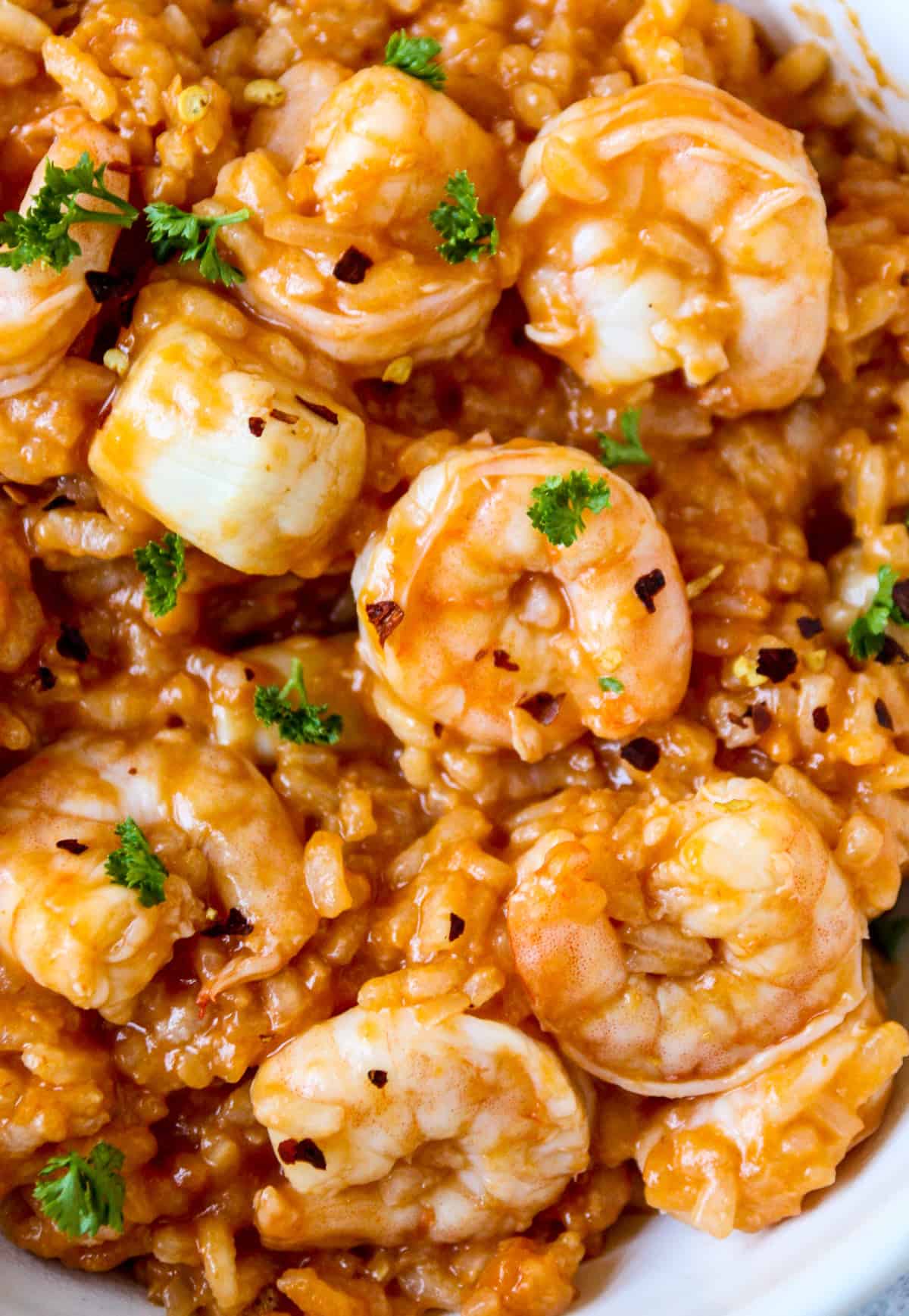 Close up of seafood risotto marinara garnished with parsley.